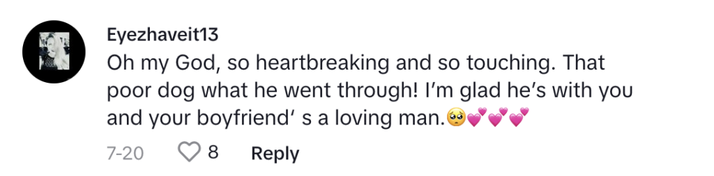 TikTok comment
